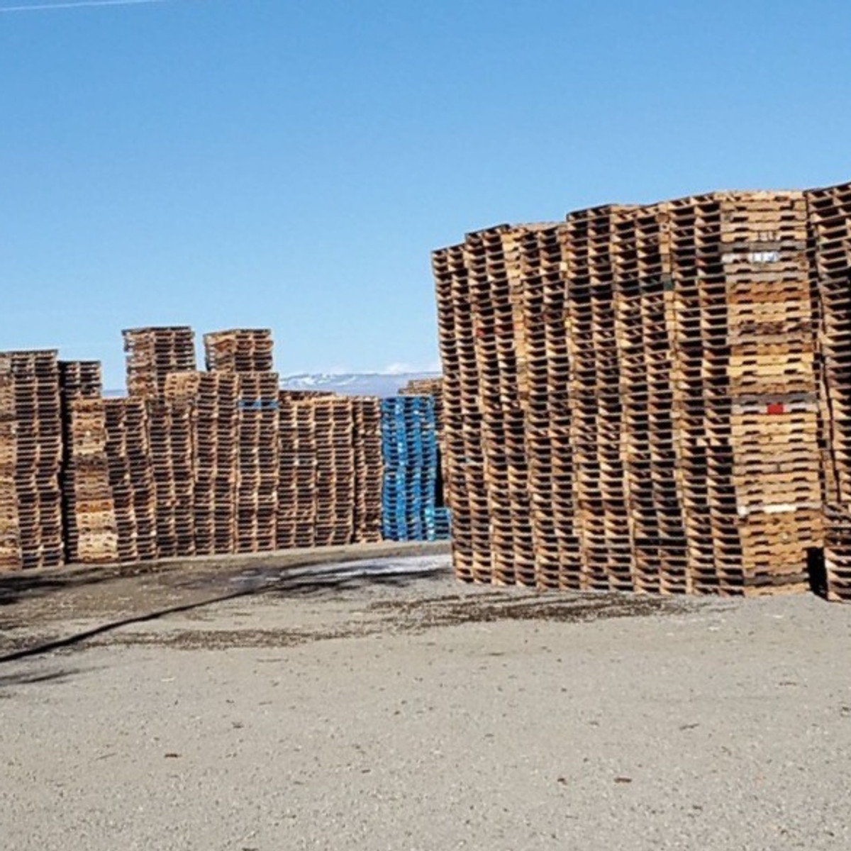 Stacked recycled pallets at the Smith Pallets yard with snow-capped mountains in the background
